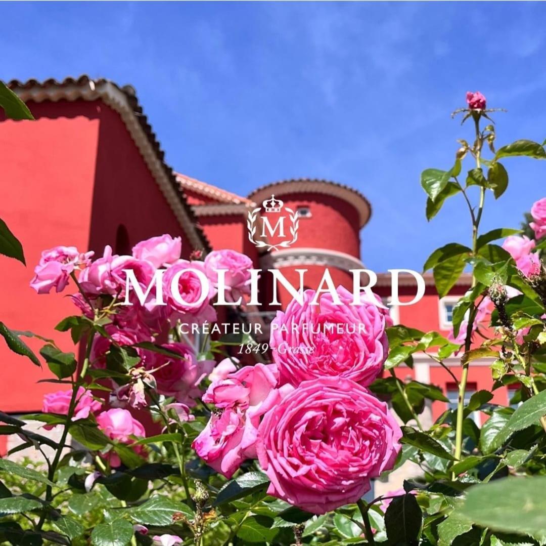 Bed and Breakfast Bastide De Marie Grasse Esterno foto
